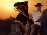 Akshay Kumar - akshay07.jpg