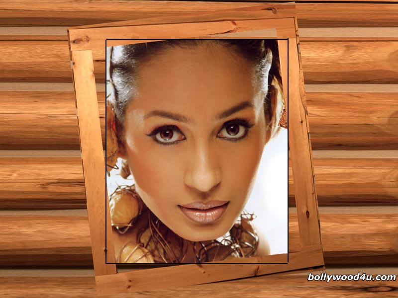 Kashmira Shah - kashmira_shah_005.jpg