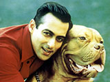 Salman Khan - salman_khan_010.jpg