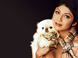 Shilpa Shetty - shilpa_shetty_015.jpg